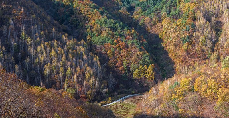 Autumn colors фото превью