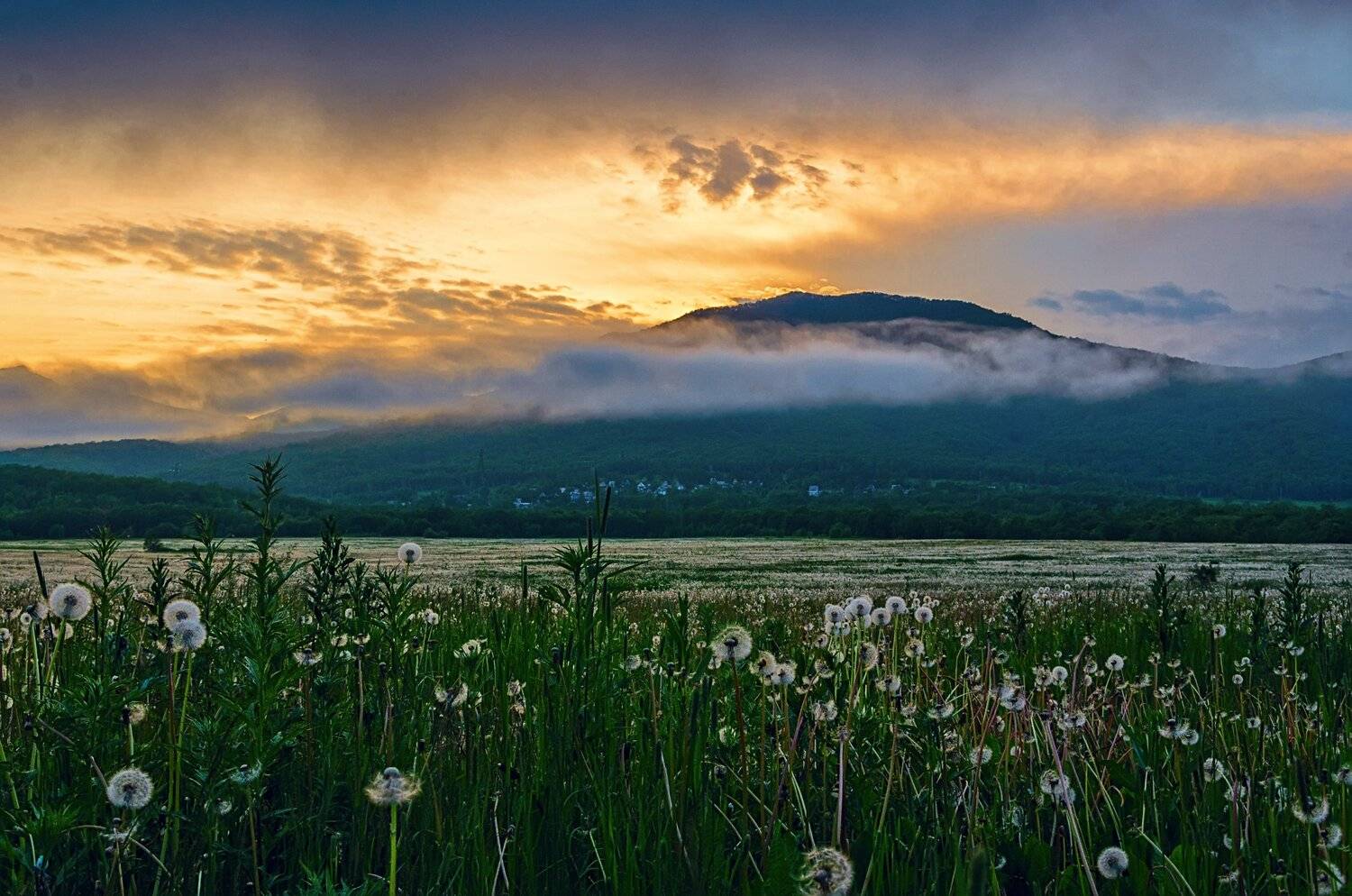 камчатка, путешествия, туман, Александр Березуцкий