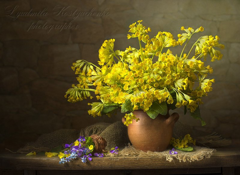 натюрморт с примулами,весна,букет,цветы,художественное фото,искусство.  фото превью