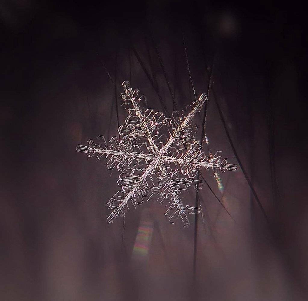 , Зоя Малхова