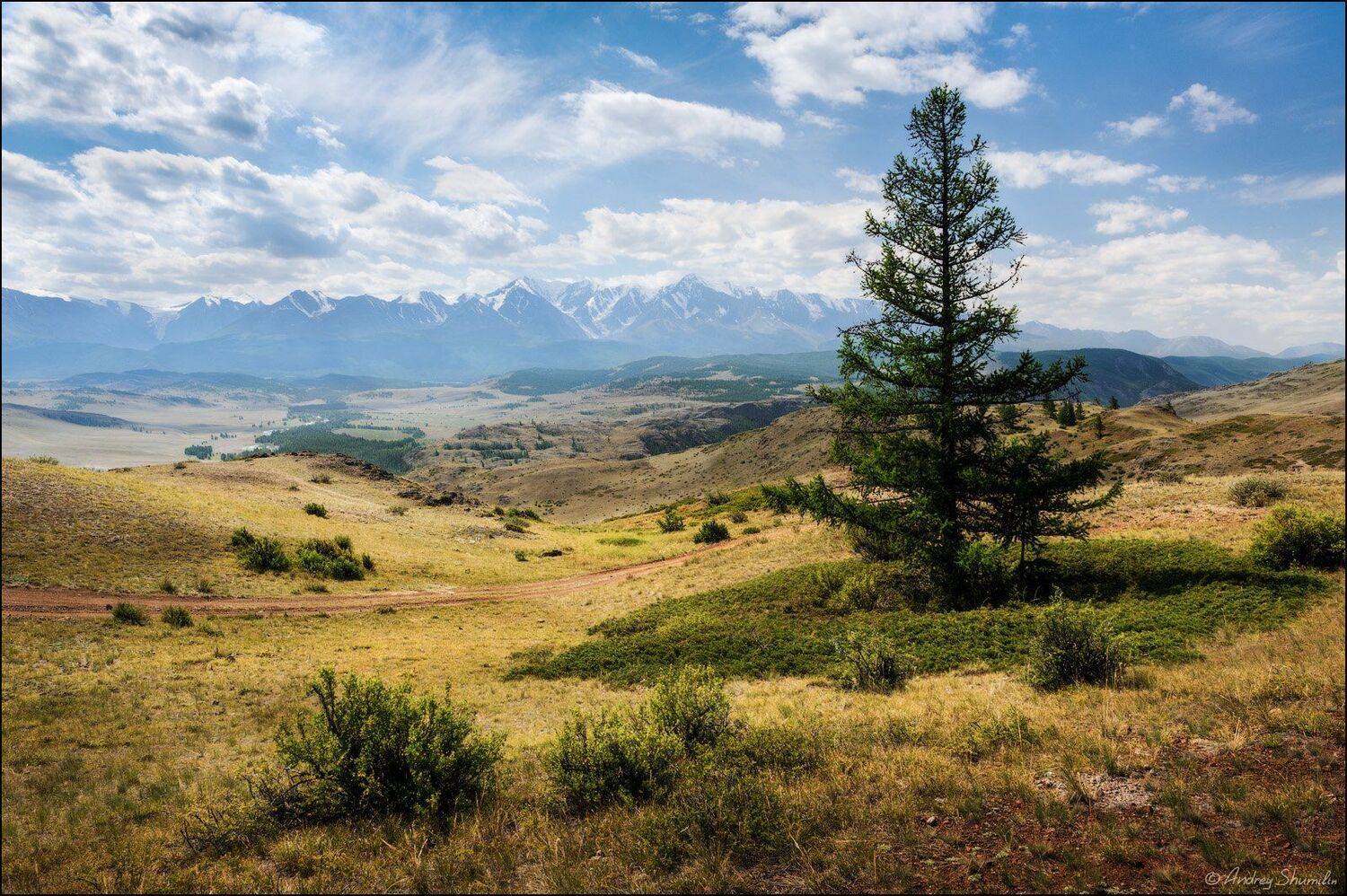 , Андрей Шумилин