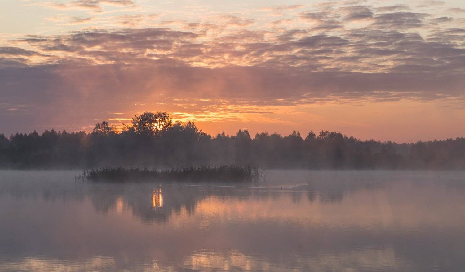 , Евгений Патрешов