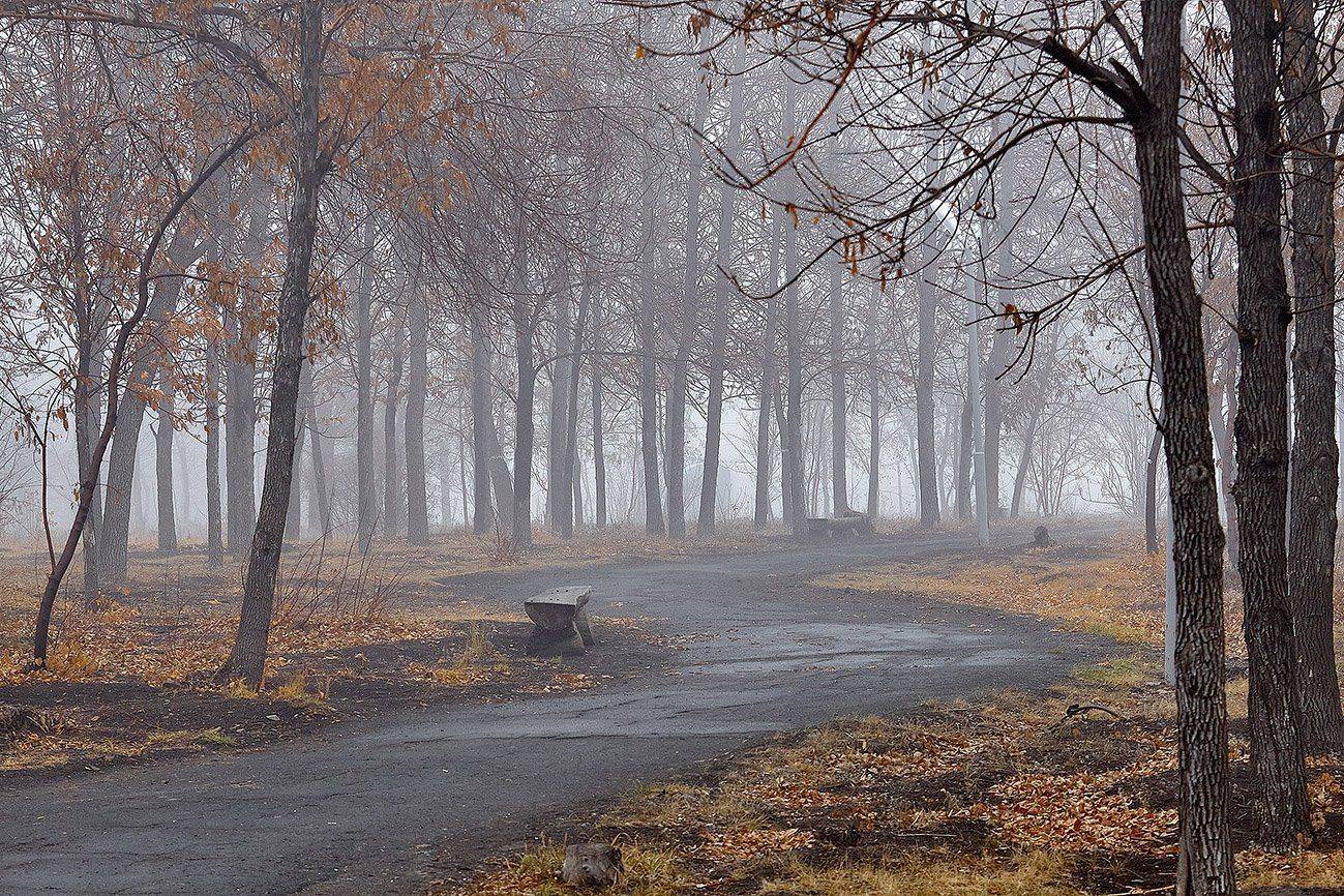 южный, урал, губерля орск, новотроицк, Качурин Алексей