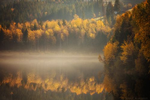 Autumn reflection