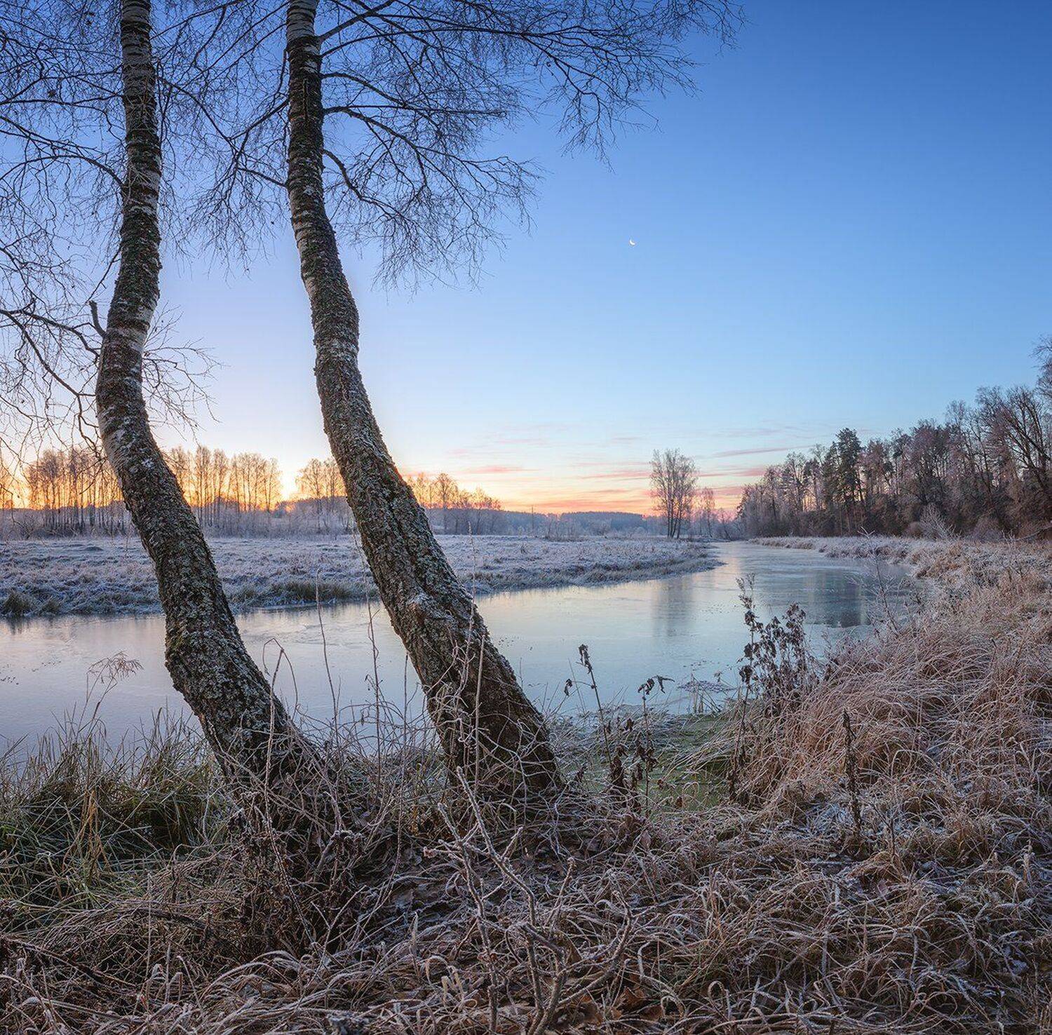 , Николай Андреев
