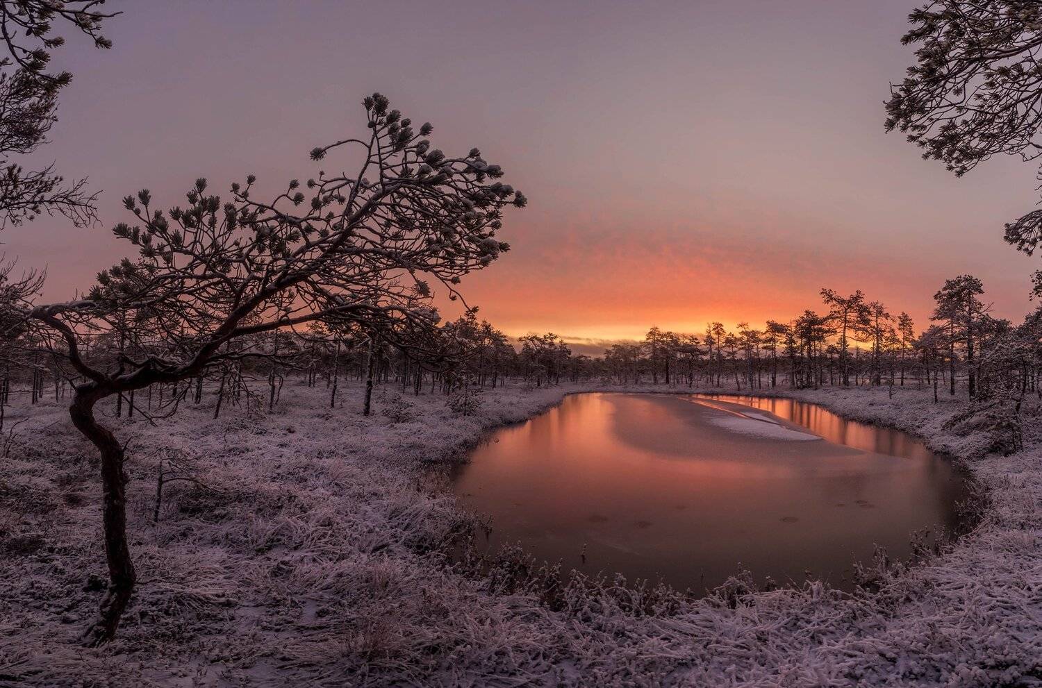 болото, кайф, рассвет ,север ,солнце, свет, закат, облака, отражение, фототур, Павел Ващенков