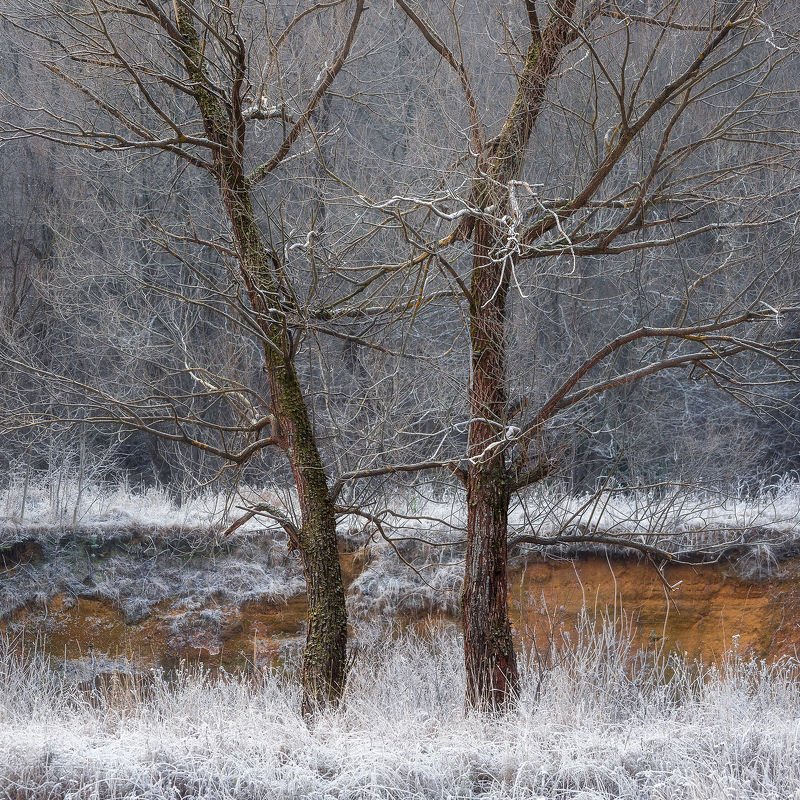 Arizona dream фото превью