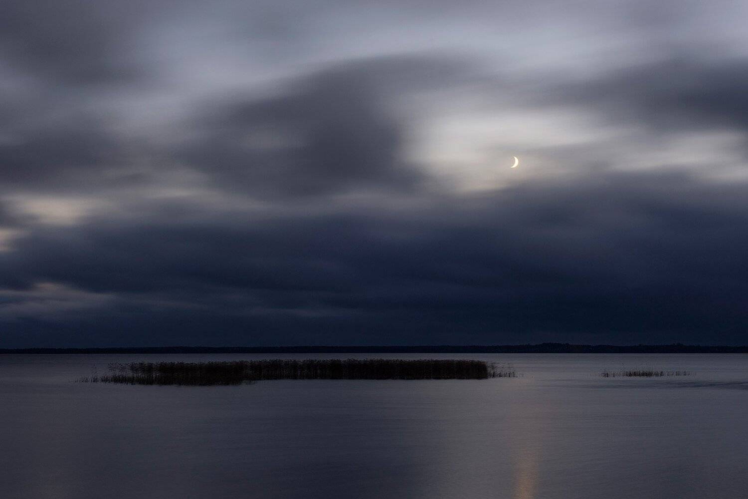 , Федотов Антон