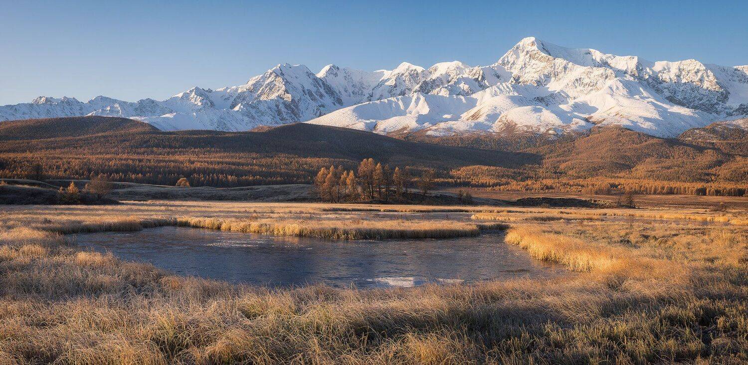 , Лещёнок Александр