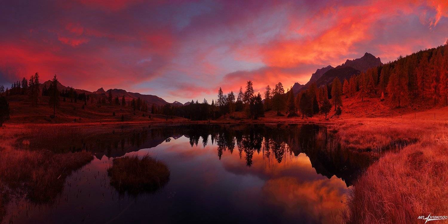 swiss, Матвеев Николай