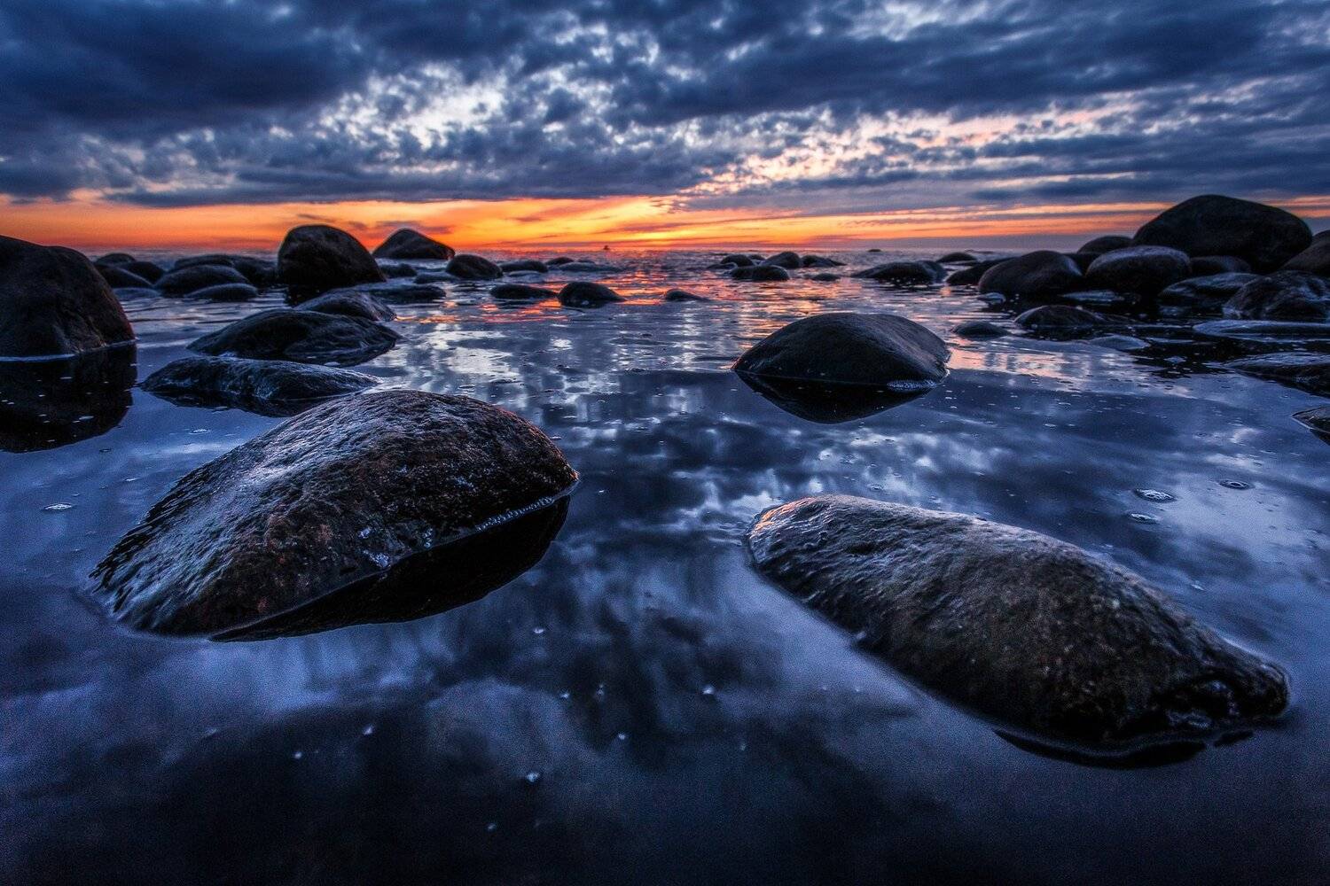 балтика, Тимофей Шутов