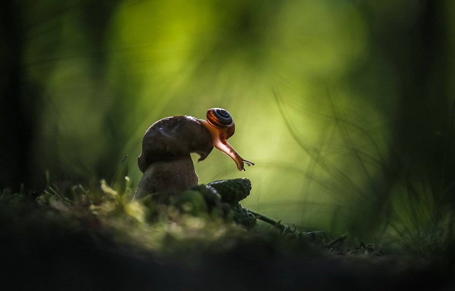 , Вячеслав Мищенко