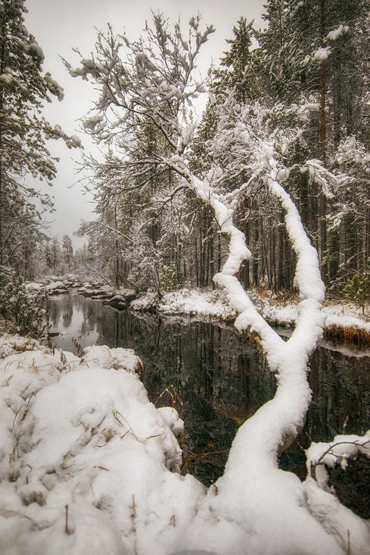 Где прячется зима ... фото превью