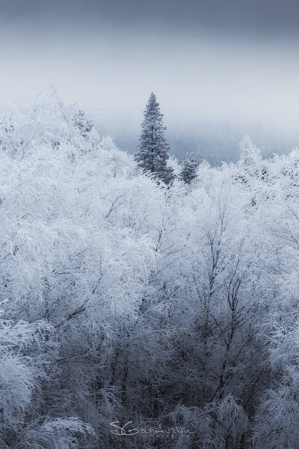 Урал, Южный Урал, таганай, лес, зима, Сергей Гарифуллин