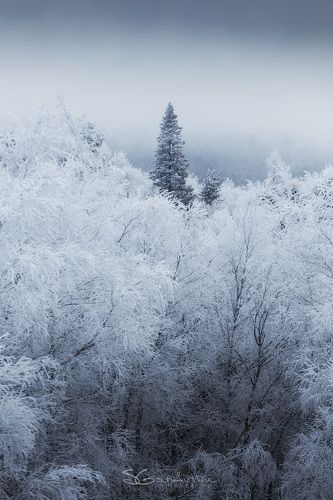 Холодное одиночество
