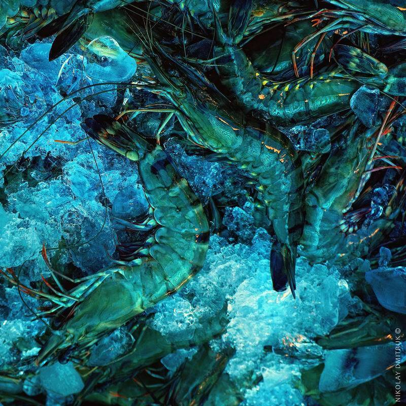 натюрморт, николай дмитрук