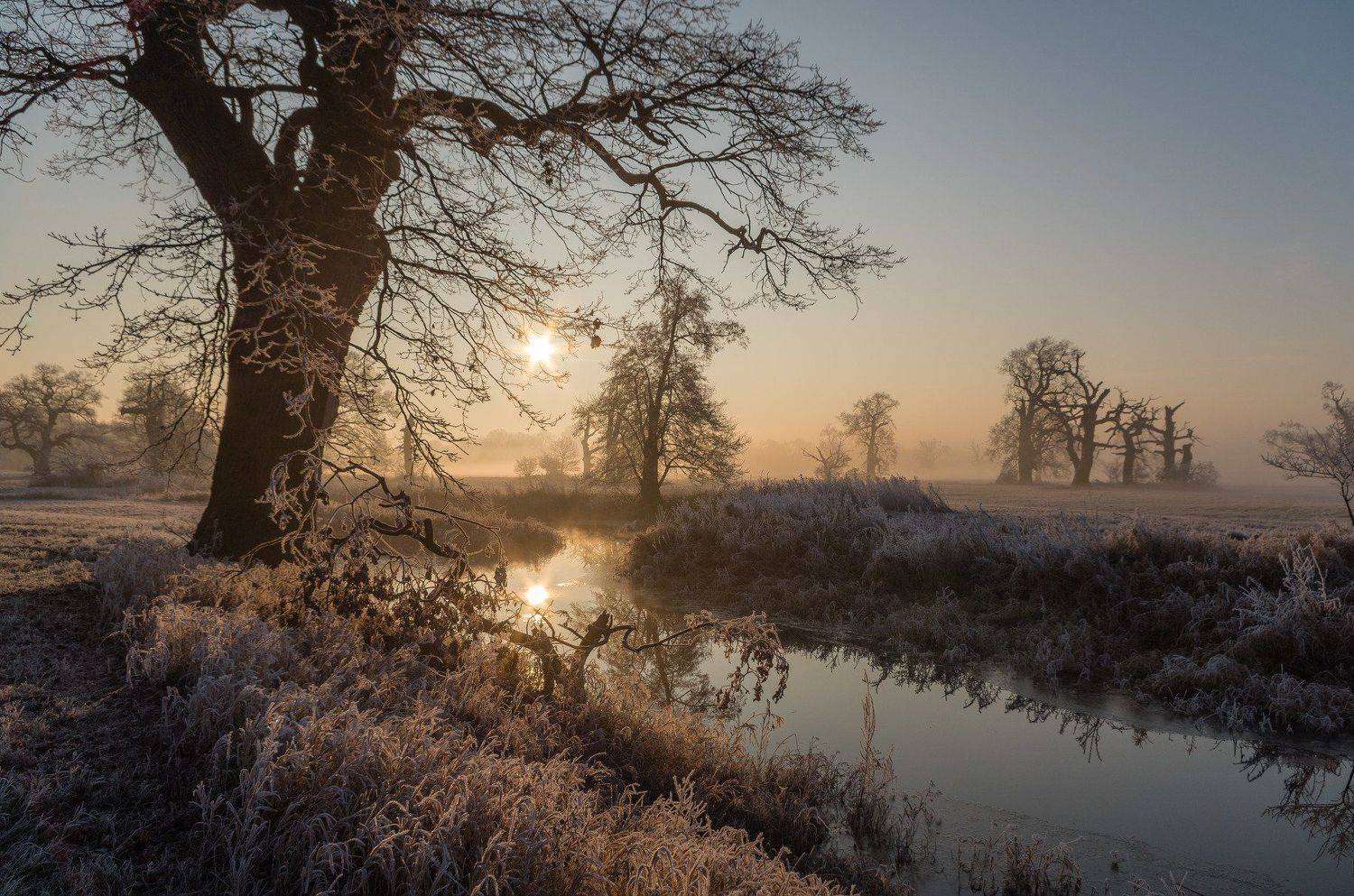 , Maciej Werbliński