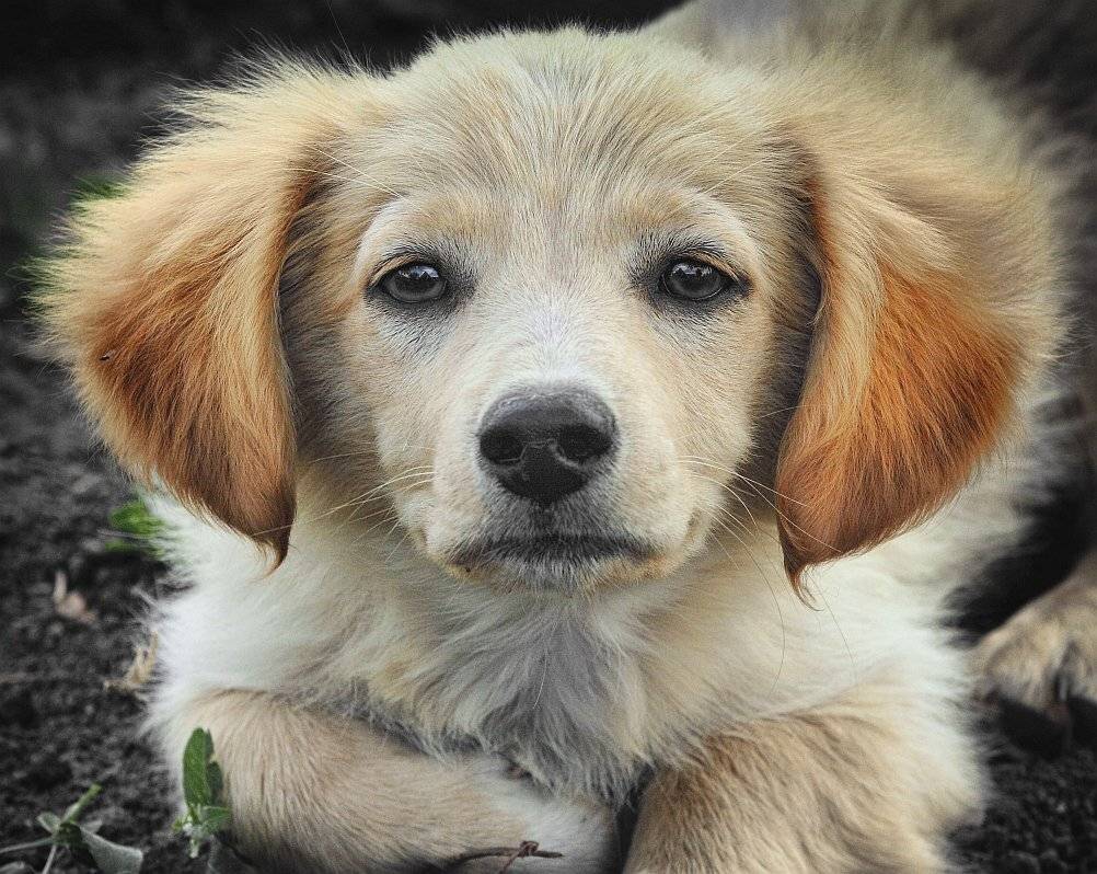 , Сергей Фудиненко