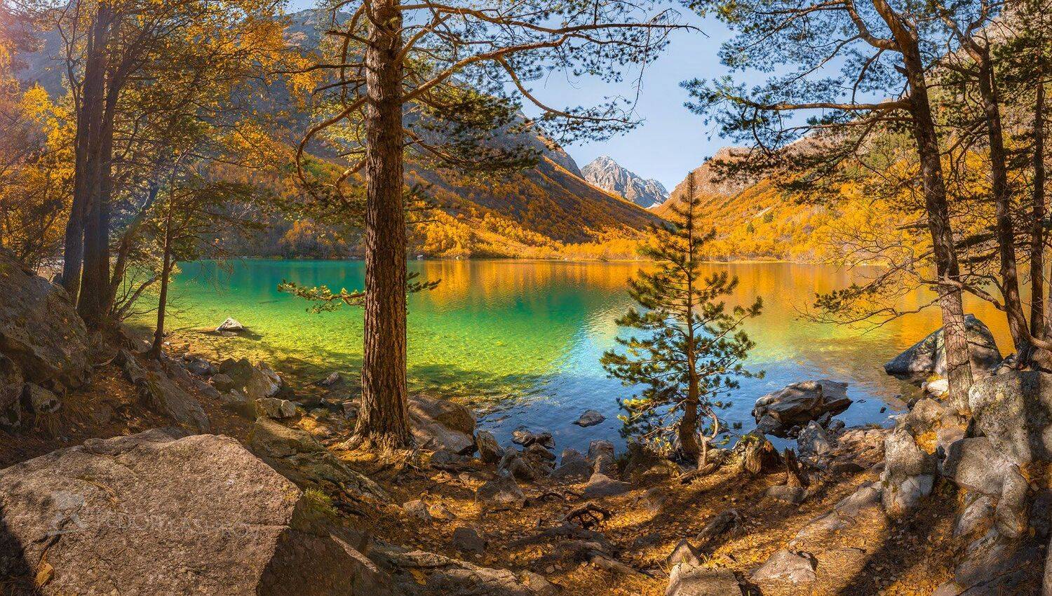 горы, домбай, осень, лес, тебердинский государственный природный биосферный заповедник, кавказ, бадукские озёра, озеро, бадук, хребет, сосна, лес, дерево,, Лашков Фёдор