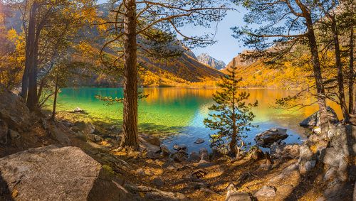 Чудо природы – живой изумруд