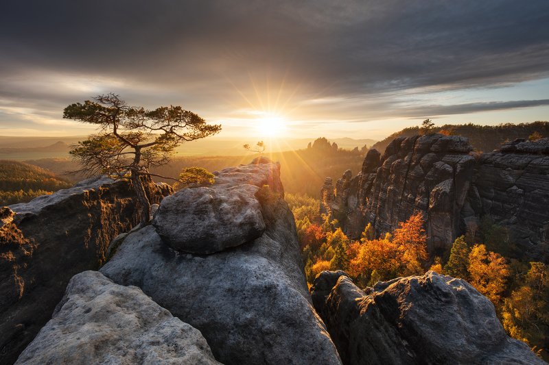 sunset, autumn, fall, light, rocks, germany, saxon switzerland, trees, clouds, sky Last Light of the Day фото превью