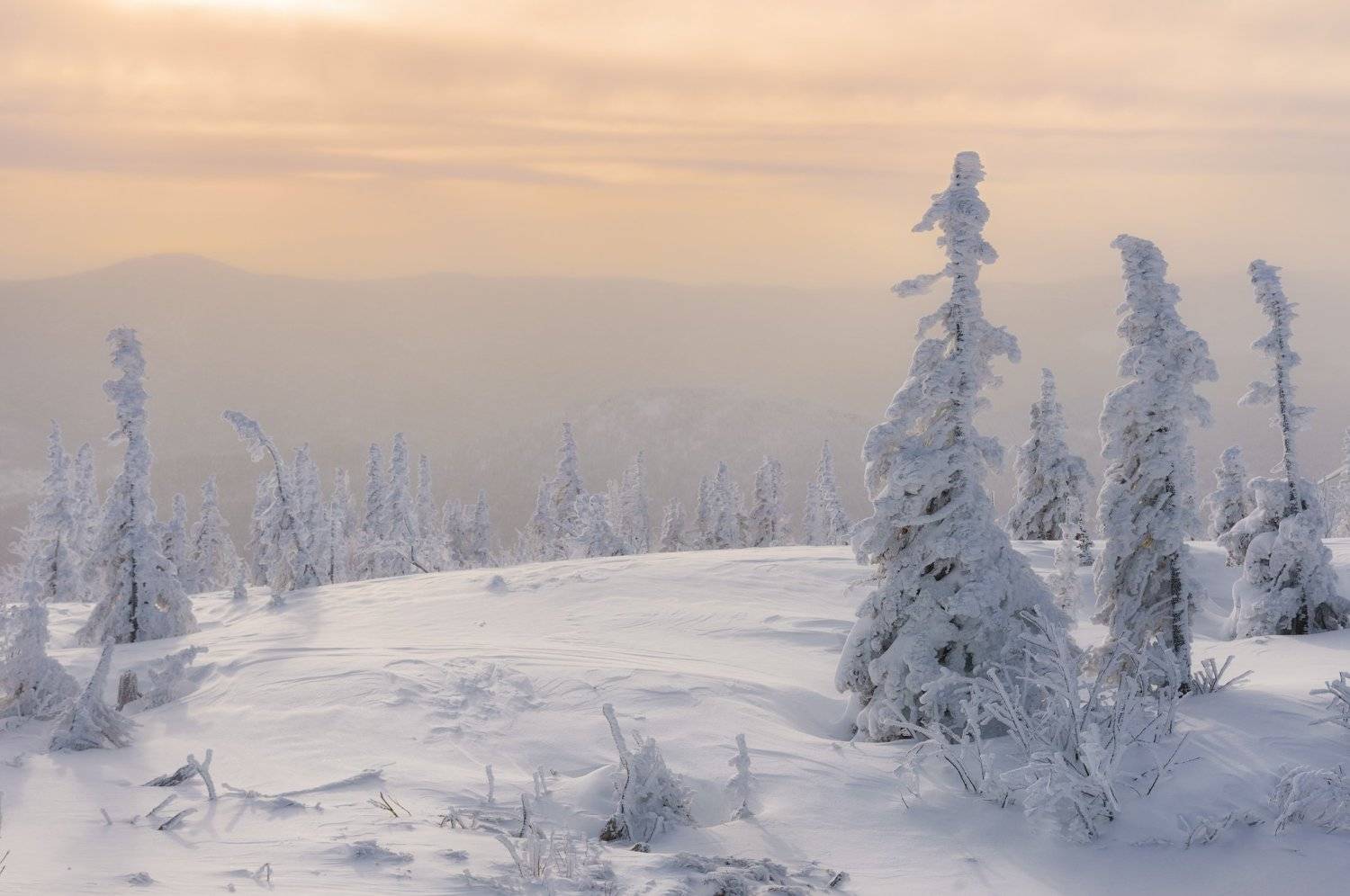 шерегеш, горная шория, кемеровская область, гора зеленая, каритшал, горы, куржак, иней, елки, ели, зимний пейзаж, снег, снежныйноябрь, Алена Рубан