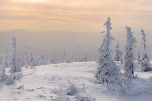 Ванильное утро