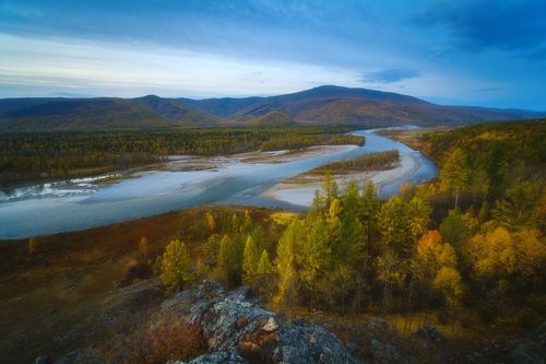 Золотой Окинский
