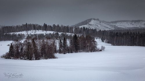 с грибами видимо... не сезон