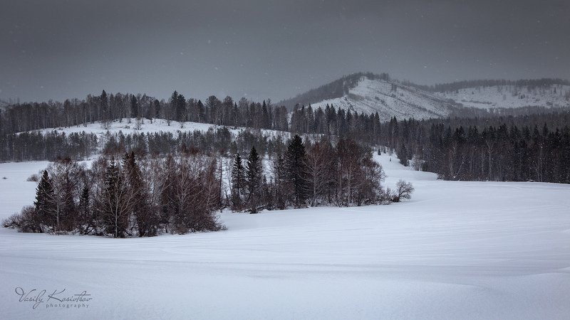 алтай с грибами видимо... не сезон фото превью