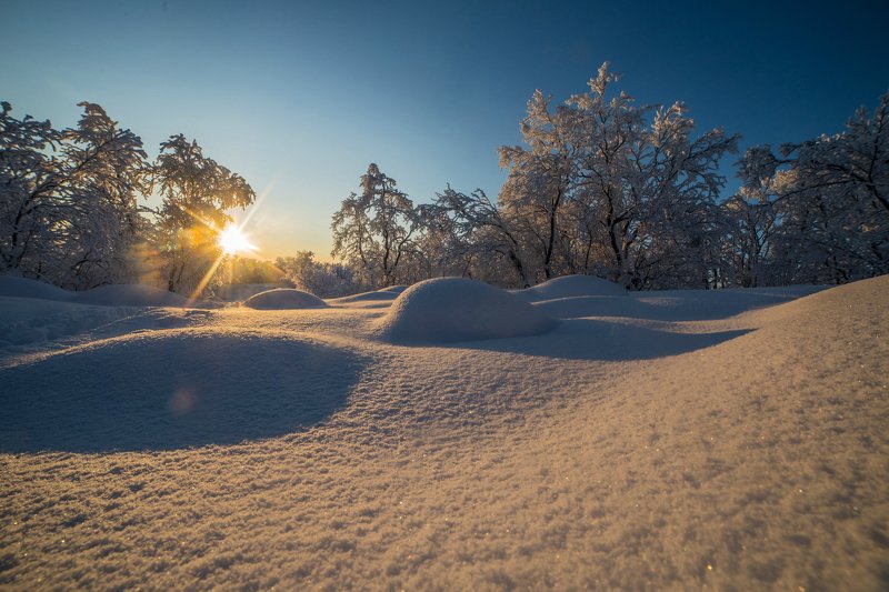 снег, winter, пейзаж, солнце, sun, сугробы Снежное покрывало фото превью