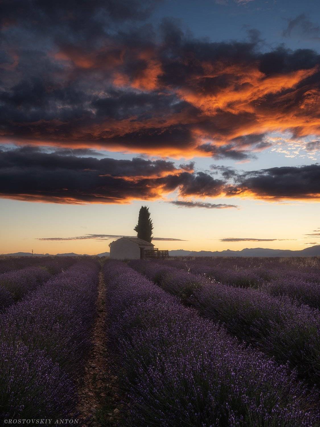 provence, photo-tour, France, фототур, прованс, Франция, рассвет, облака, лаванда, поле, lavender,, Антон Ростовский