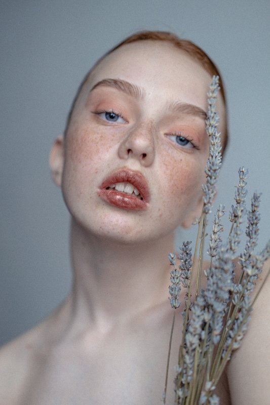 Lavander фото превью