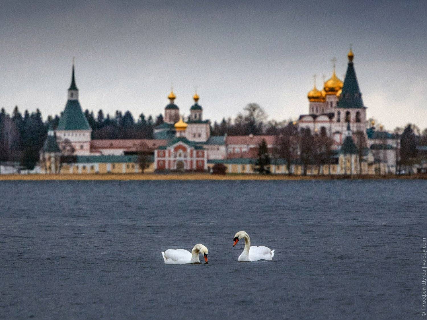 иверский монастырь, валдай, Тимофей Шутов