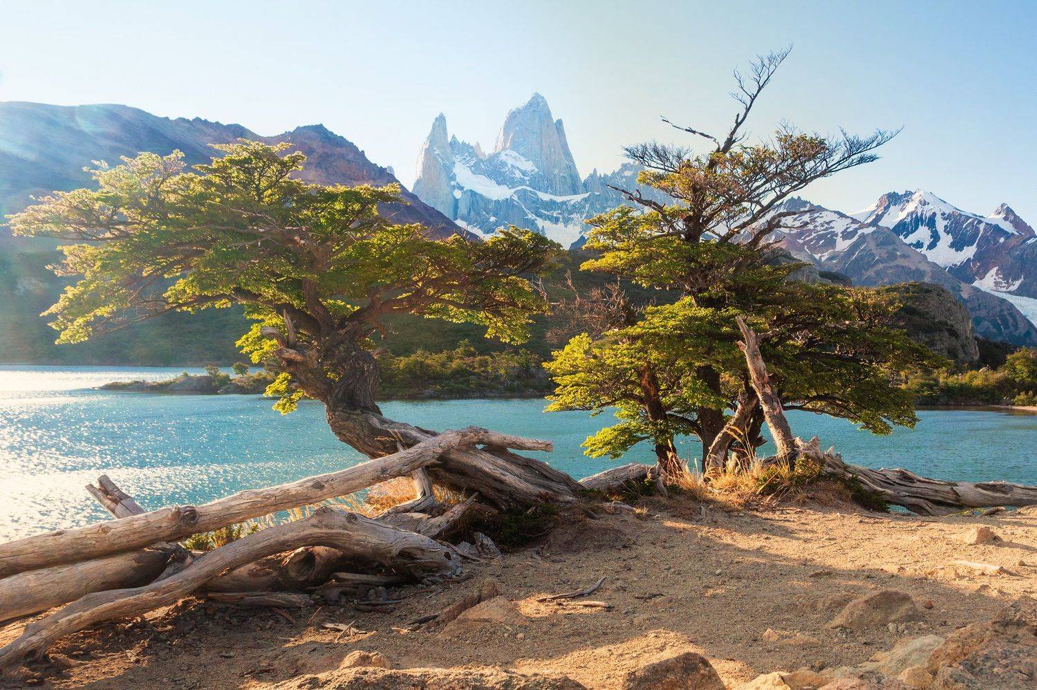 landscape, patagonia, argentina, mount, park, tree, view, lake, fitzroy, chalten, Андрей [Seencleyr] Чуяшенко