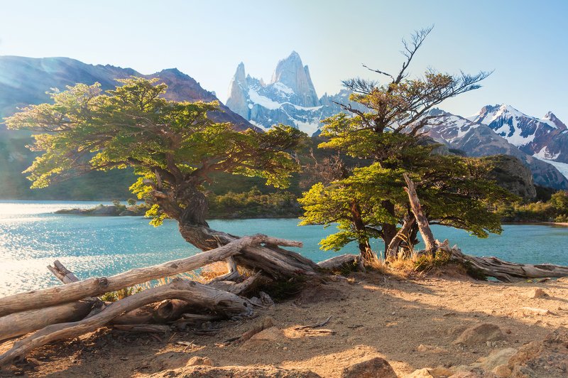 landscape, patagonia, argentina, mount, park, tree, view, lake, fitzroy, chalten Chaltén фото превью