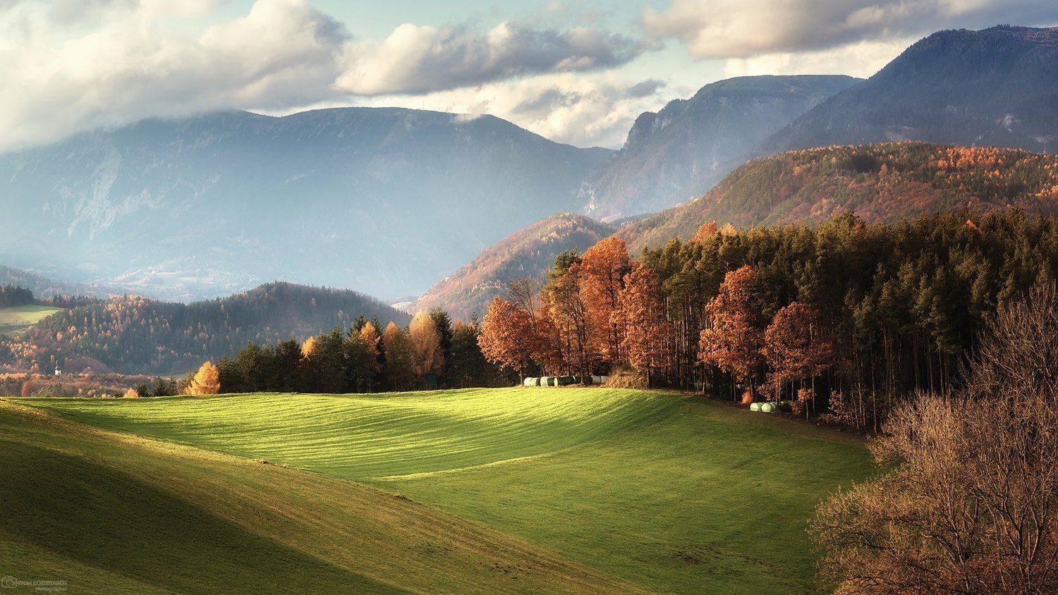 , Антон Кошетаров