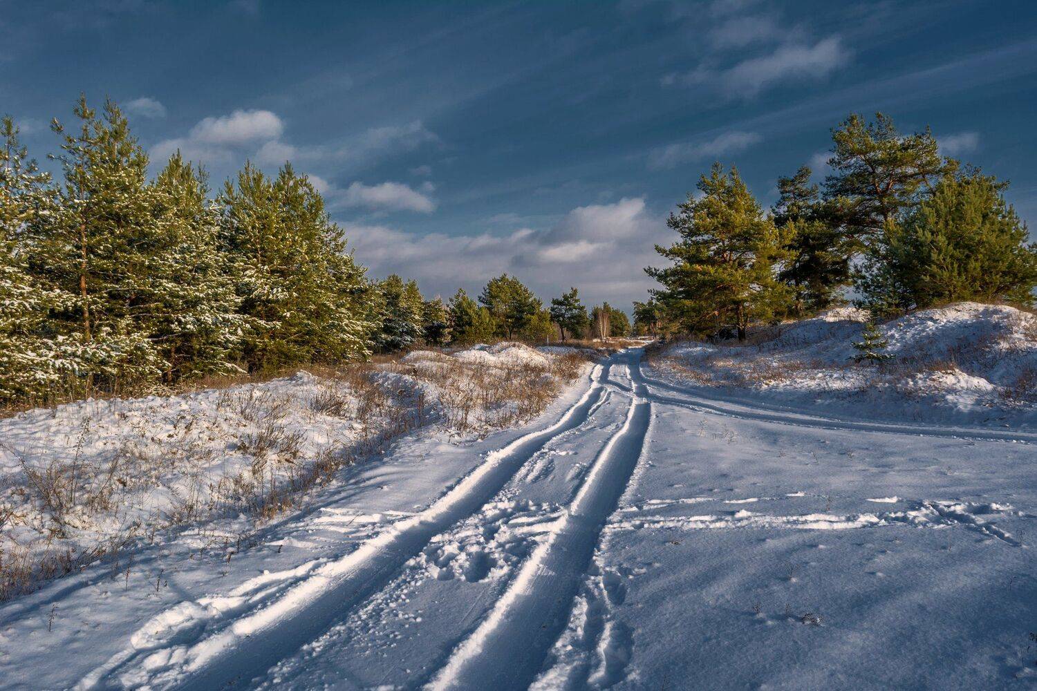 зима, Александр Литвишко