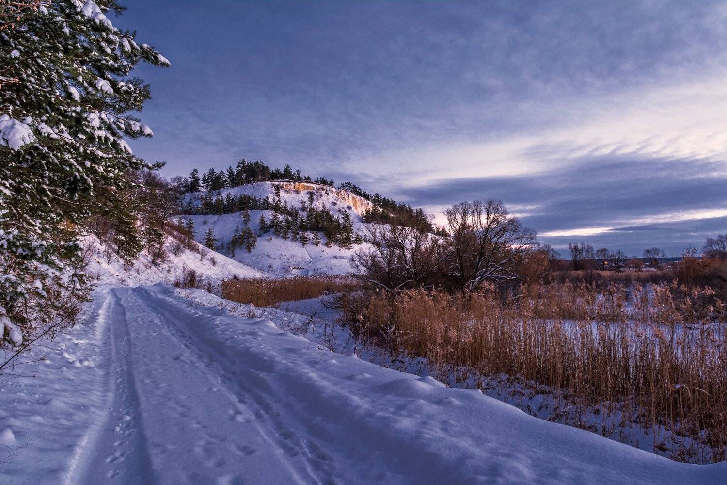 дмитриевское городище,зима, Александр Литвишко