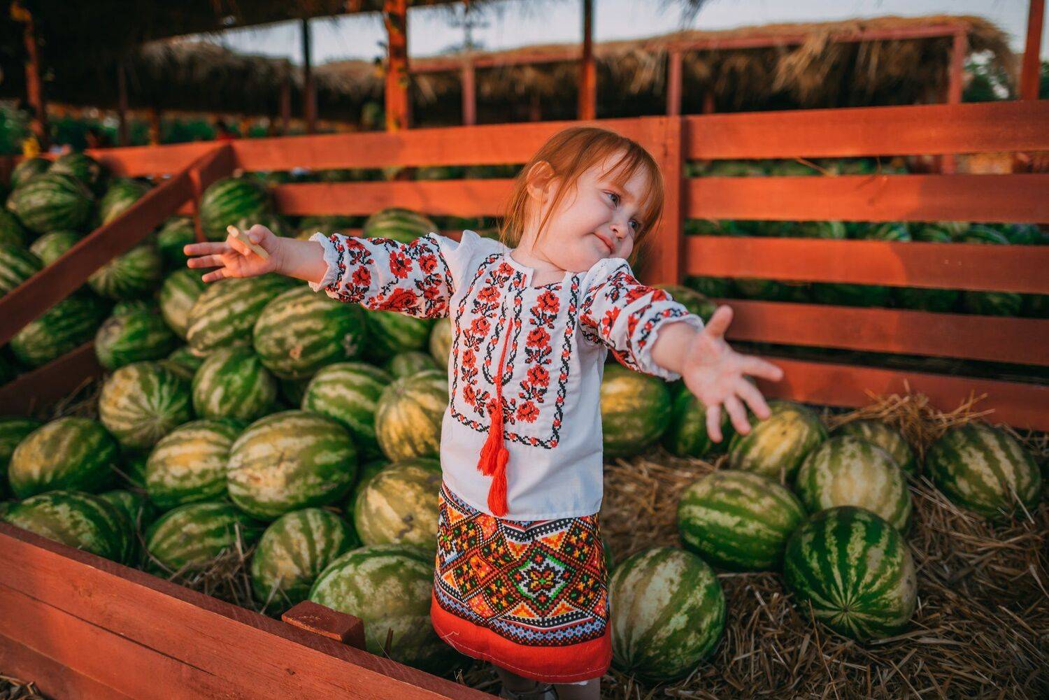 , Дарья Шевченко