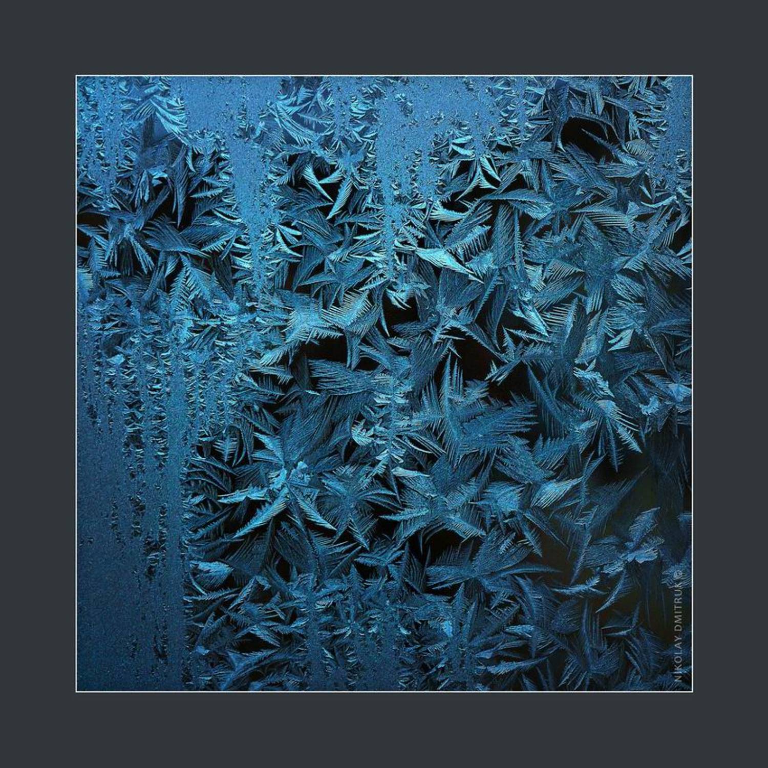 макро, николай дмитрук