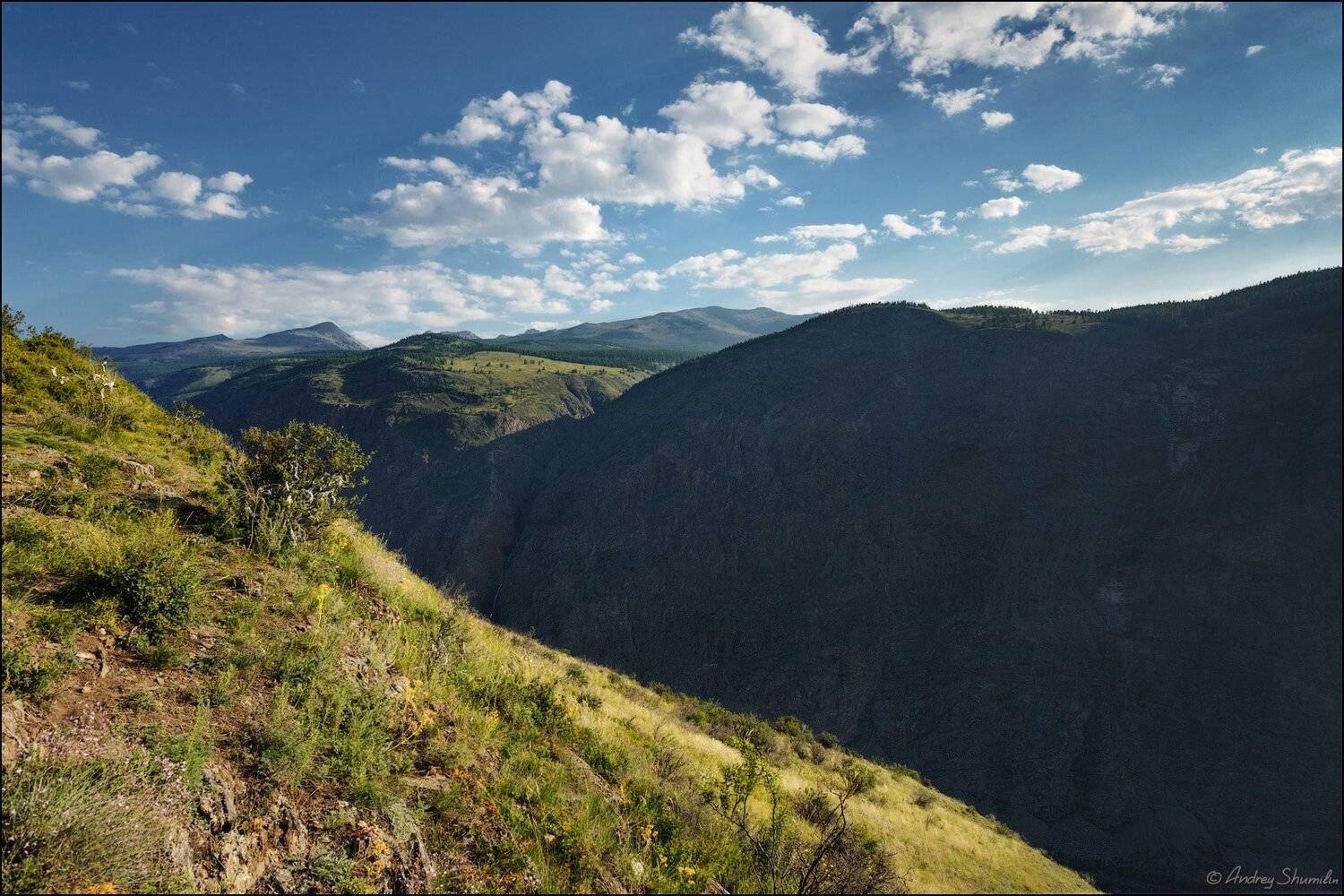 , Андрей Шумилин