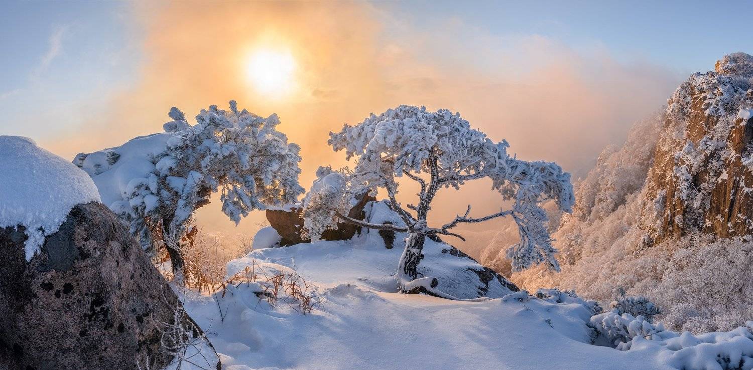mountains,peak,hiking,winter,light,snow,trees, Jaeyoun Ryu