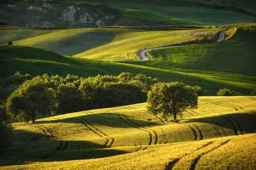 Sunset in Val d'Orcia, Tuscany