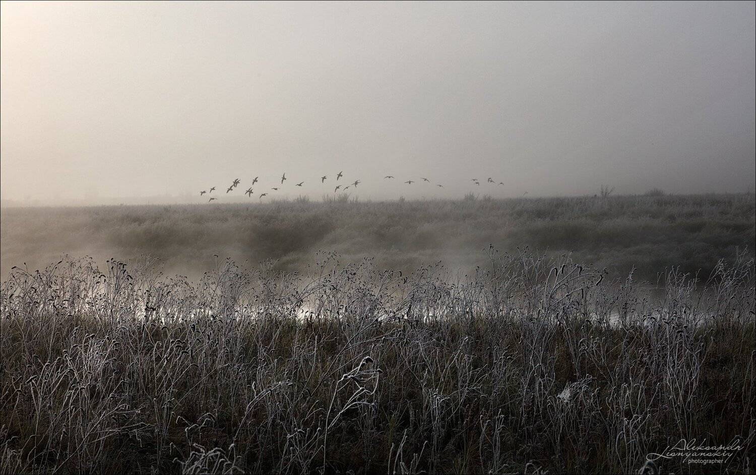 забайкальский край, Александр Леснянский