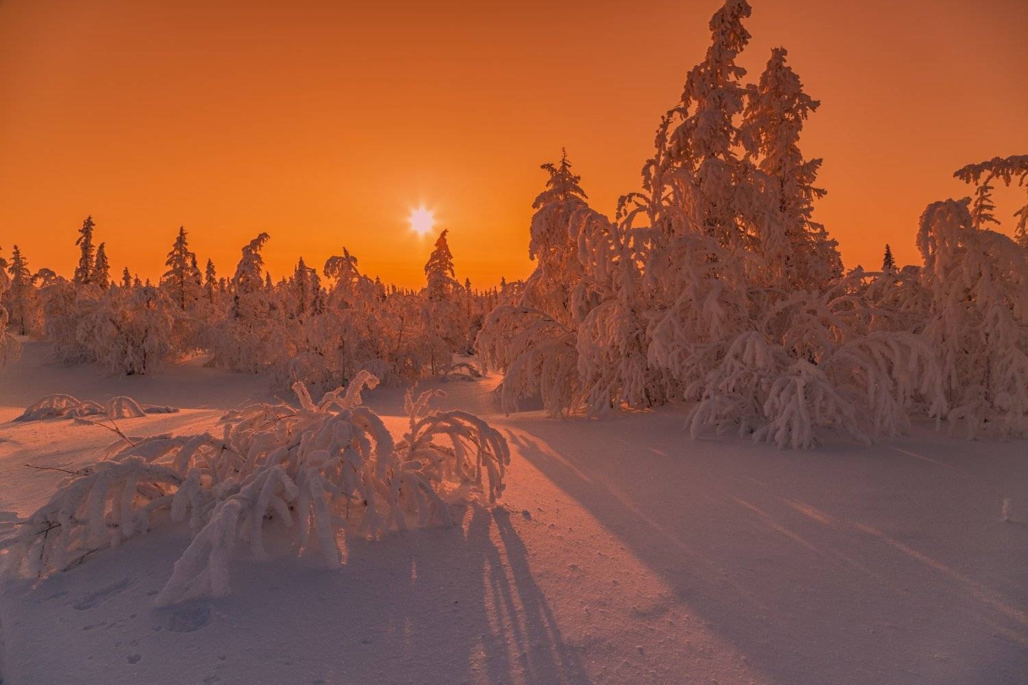 , Евгений Кужилев