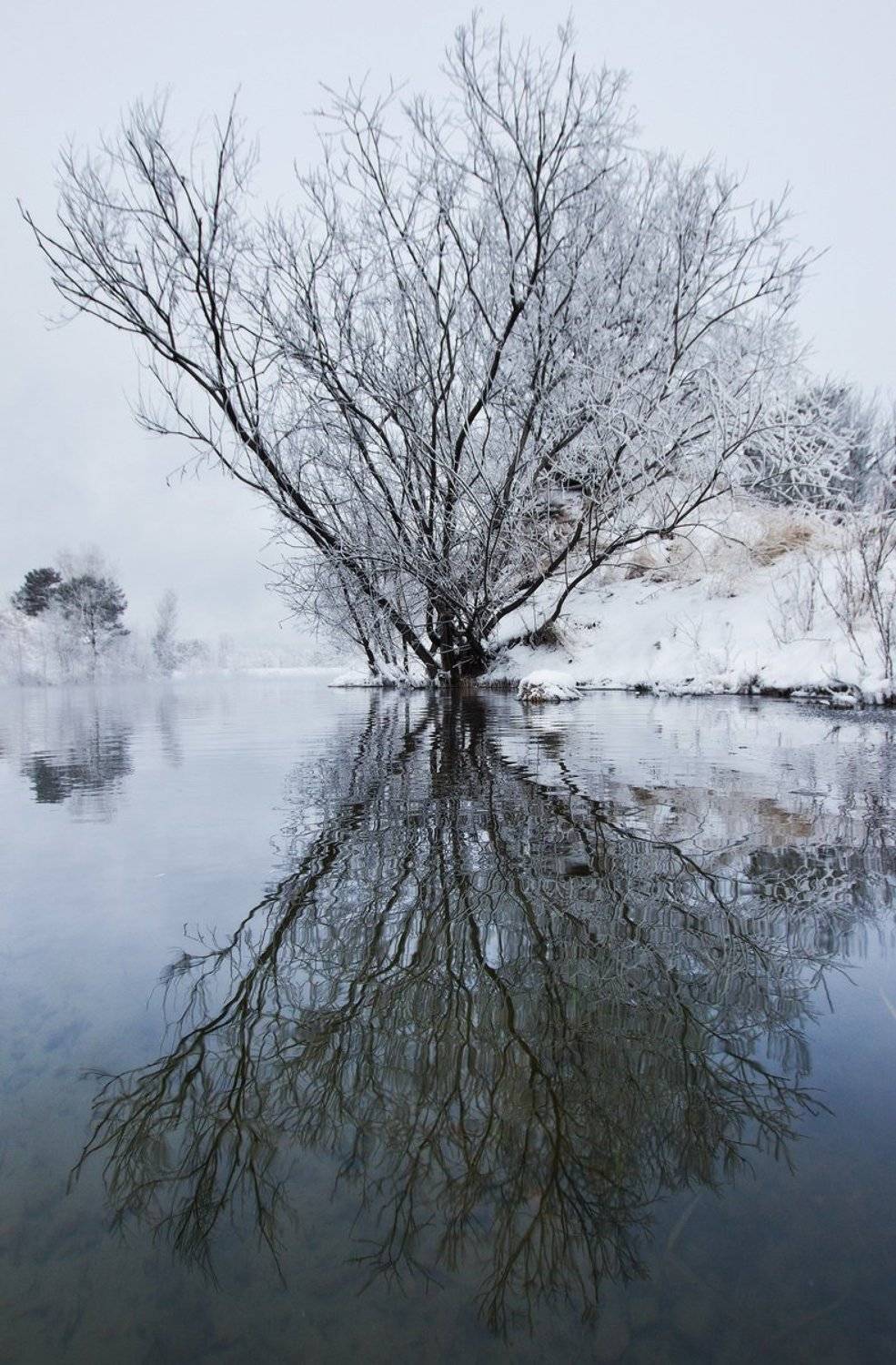, Алексей Трофимов