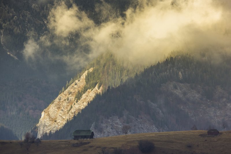 fog autumn photography beautiful Fog фото превью