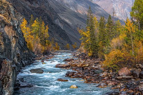 На реке Аргут