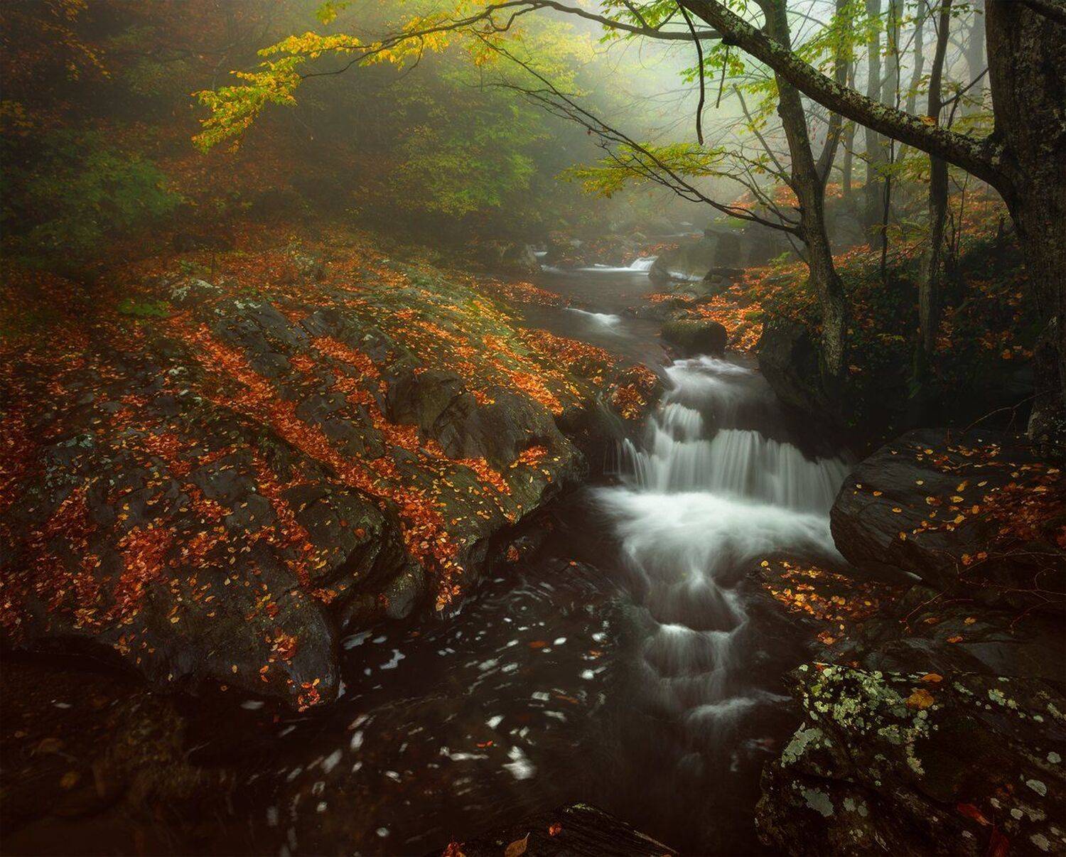 landscape nature scenery forest wood  autumn mist misty fog foggy river waterfall fall mountain staraplanina bulgaria туман лес, Александър Александров